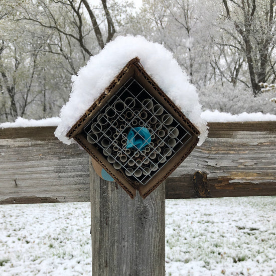 A snow-covered Beestra