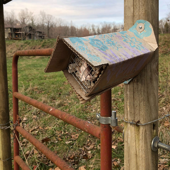 A Beestra looking a little worse for wear after spending a season collecting bees outside