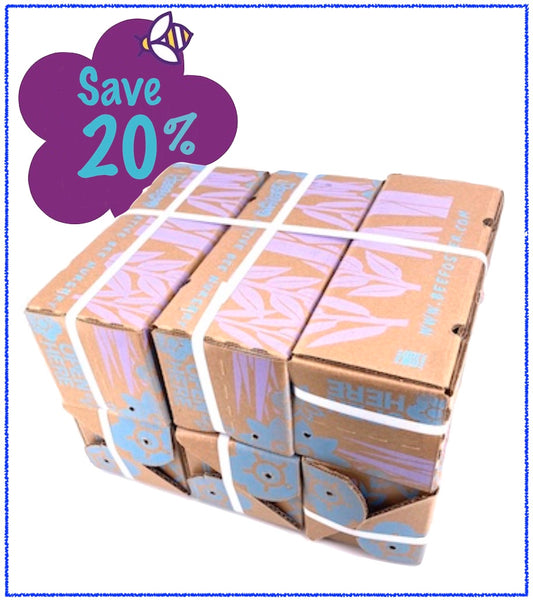 Beestra 6-pack